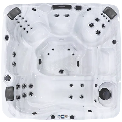 Avalon EC-840L hot tubs for sale in Blaine