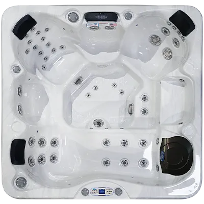 Avalon EC-849L hot tubs for sale in Blaine