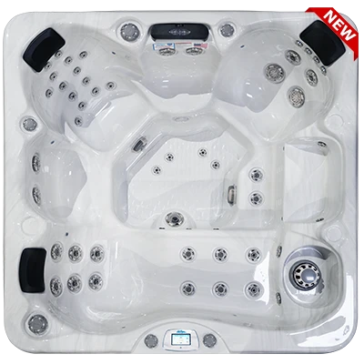 Avalon-X EC-849LX hot tubs for sale in Blaine