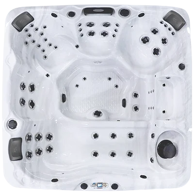 Avalon EC-867L hot tubs for sale in Blaine