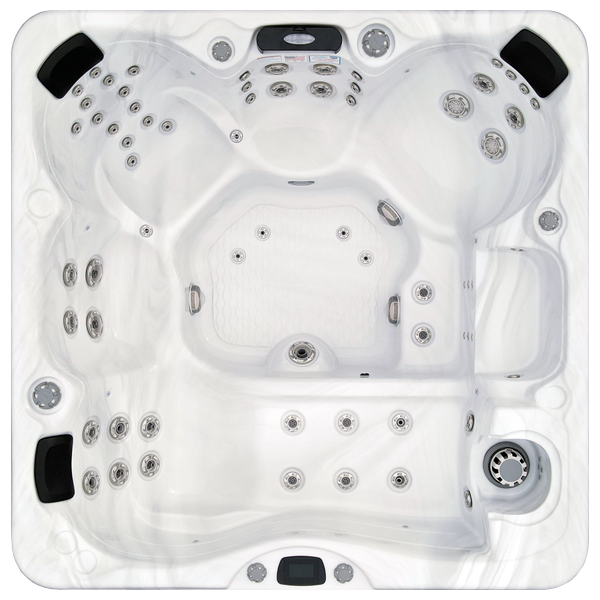 Avalon-X EC-867LX hot tubs for sale in Blaine