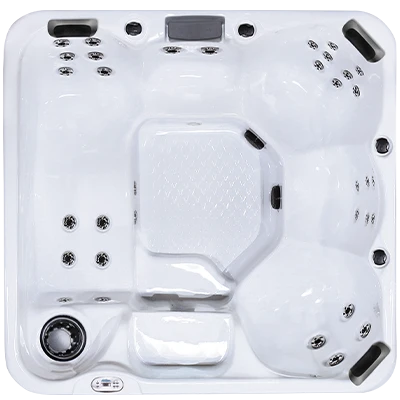 Hawaiian Plus PPZ-634L hot tubs for sale in Blaine