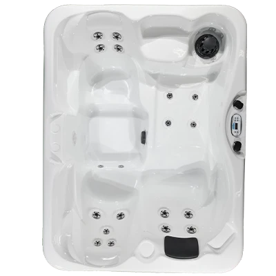 Kona PZ-519L hot tubs for sale in Blaine