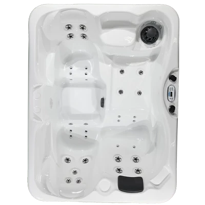 Kona PZ-535L hot tubs for sale in Blaine